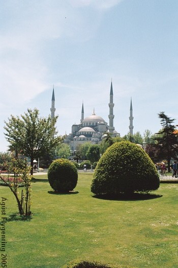 The Blue Mosque